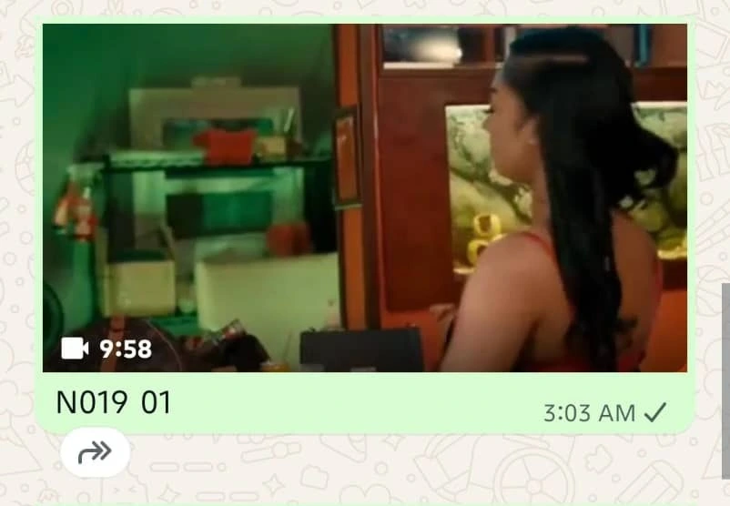 Hatua 5